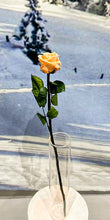 Charger l&#39;image dans la galerie, Rose éternelle Tige
