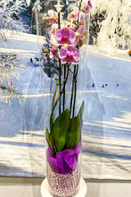 Charger l&#39;image dans la galerie, Vase Orchidée
